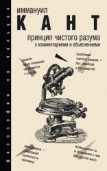 читать Принцип чистого разума