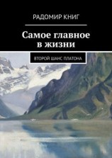 читать Самое главное в жизни. Второй шанс Платона
