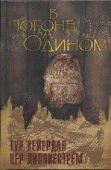 читать В погоне за Одином