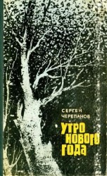 читать Утро нового года