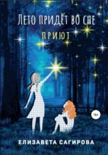 читать Лето придёт во сне. Приют