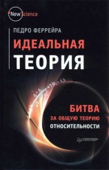 читать Идеальная теория. Битва за общую теорию относительности