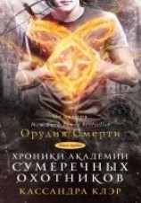 читать Хроники Академии Сумеречных охотников. Книга I (сборник)