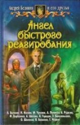 читать Ангел быстрого реагирования