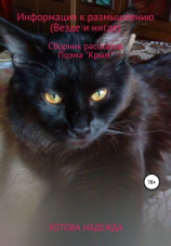 читать Информация к размышлению (Везде и нигде). Сборник рассказов. Поэма «Крым»