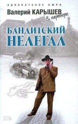 читать Исполнитель