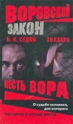 читать Месть вора
