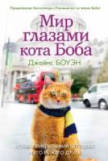 читать Мир глазами кота Боба