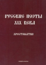 читать Русские поэты XIX века: Хрестоматия