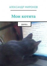 читать Мои котята. Дымка