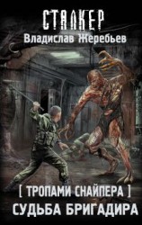 читать Судьба Бригадира