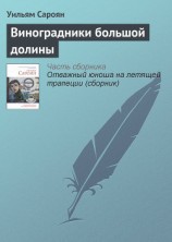 читать Виноградники большой долины