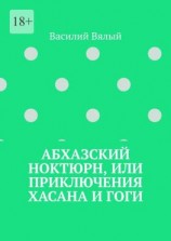 читать Абхазский ноктюрн, или Приключения Хасана и Гоги