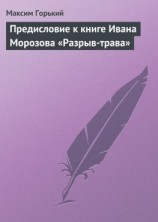 читать Предисловие к книге Ивана Морозова «Разрыв-трава»