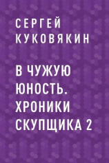 читать В чужую юность. Хроники скупщика 2