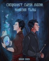 читать Специалист сырой магии. Иллюзия тьмы