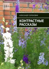 читать Контрастные рассказы