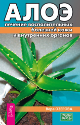 читать Алоэ: лечение воспалительных болезней кожи и внутренних органов