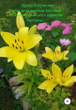 читать Новые приключения двух дам очень бальзаковского возраста