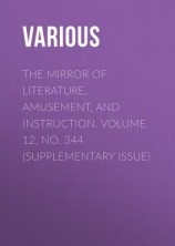 читать The Mirror of Literature, Amusement, and Instruction. Volume 12, No. 344 (Supplementary Issue)