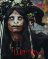 читать Шаман