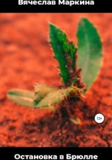 читать Остановка в Брюлле