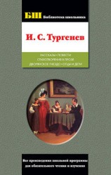 читать Рассказы; Повести; Стихотворения в прозе; Дворянское гнездо; Отцы и дети