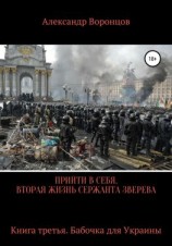 читать Прийти в себя. Вторая жизнь сержанта Зверева. Книга третья
