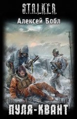 читать Пуля Квант