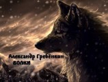 читать Волки
