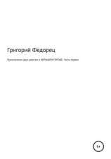 читать Приключения двух девочек в БОЛЬШОМ ГОРОДЕ. Часть первая