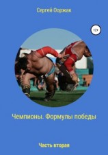 читать Чемпионы. Формулы победы. Часть вторая