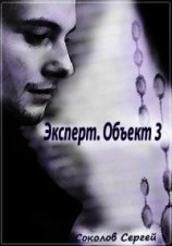 читать Эксперт. Объект 3