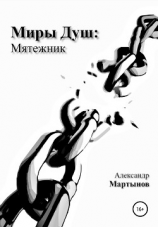 читать Миры Душ: Мятежник