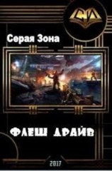 читать Флеш-драйв