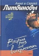 читать Второй раз не воскреснешь
