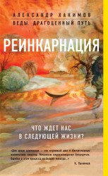 читать Реинкарнация. Что ждет нас в следующей жизни?
