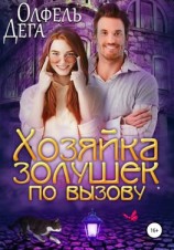 читать Хозяйка золушек по вызову