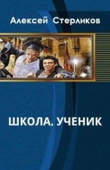 читать Школа. Ученик. Книга 1