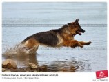 читать Дальше ты пойдешь один