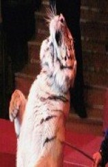 читать День смеха