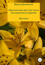 читать Приключения двух дам очень бальзаковского возраста. Рассказы