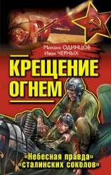читать Испытание огнем. Сгоравшие заживо