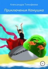 читать Приключения Камушка