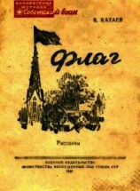 читать Флаг (Рассказы)