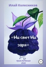 читать Ни свет ни заря