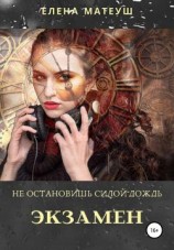 читать Не остановишь силой дождь. Экзамен