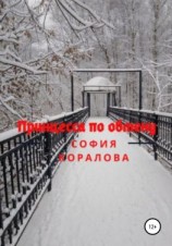 читать Принцесса по обмену