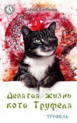 читать Девятая жизнь кота Труфеля