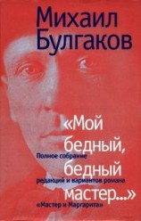 читать Мой бедный, бедный мастер...